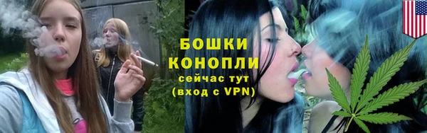 сатива Армянск