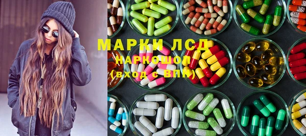 сатива Армянск