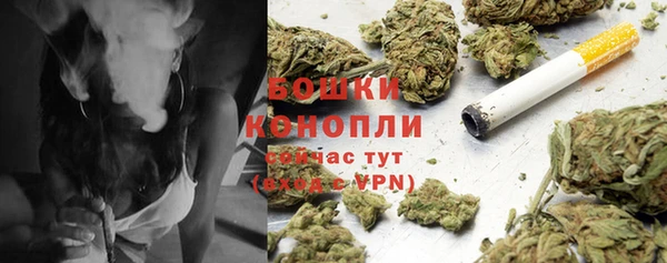 бошки Аркадак