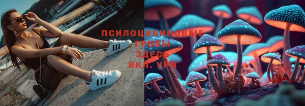 крисы Арсеньев