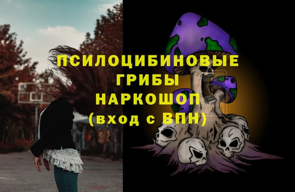 сатива Армянск